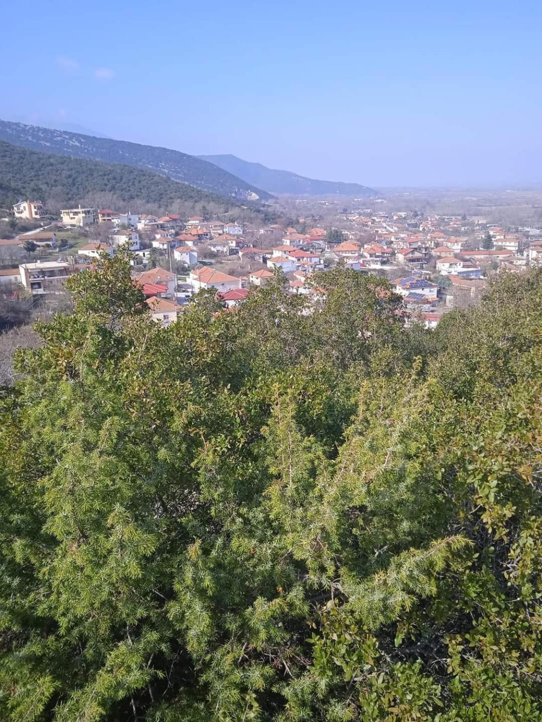 Bella Gaia * Eleftheroupoli