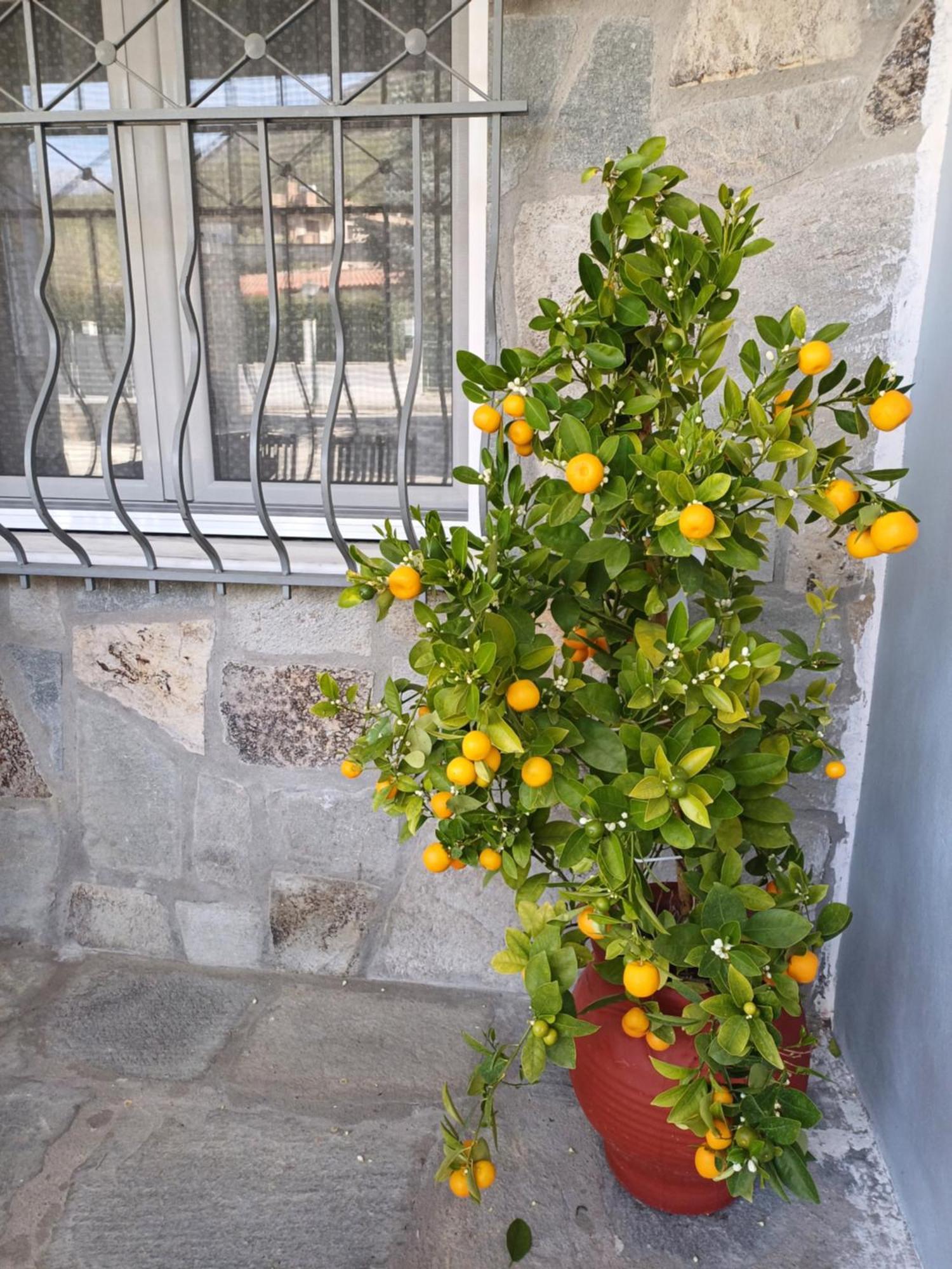 Apartment Bella Gaia