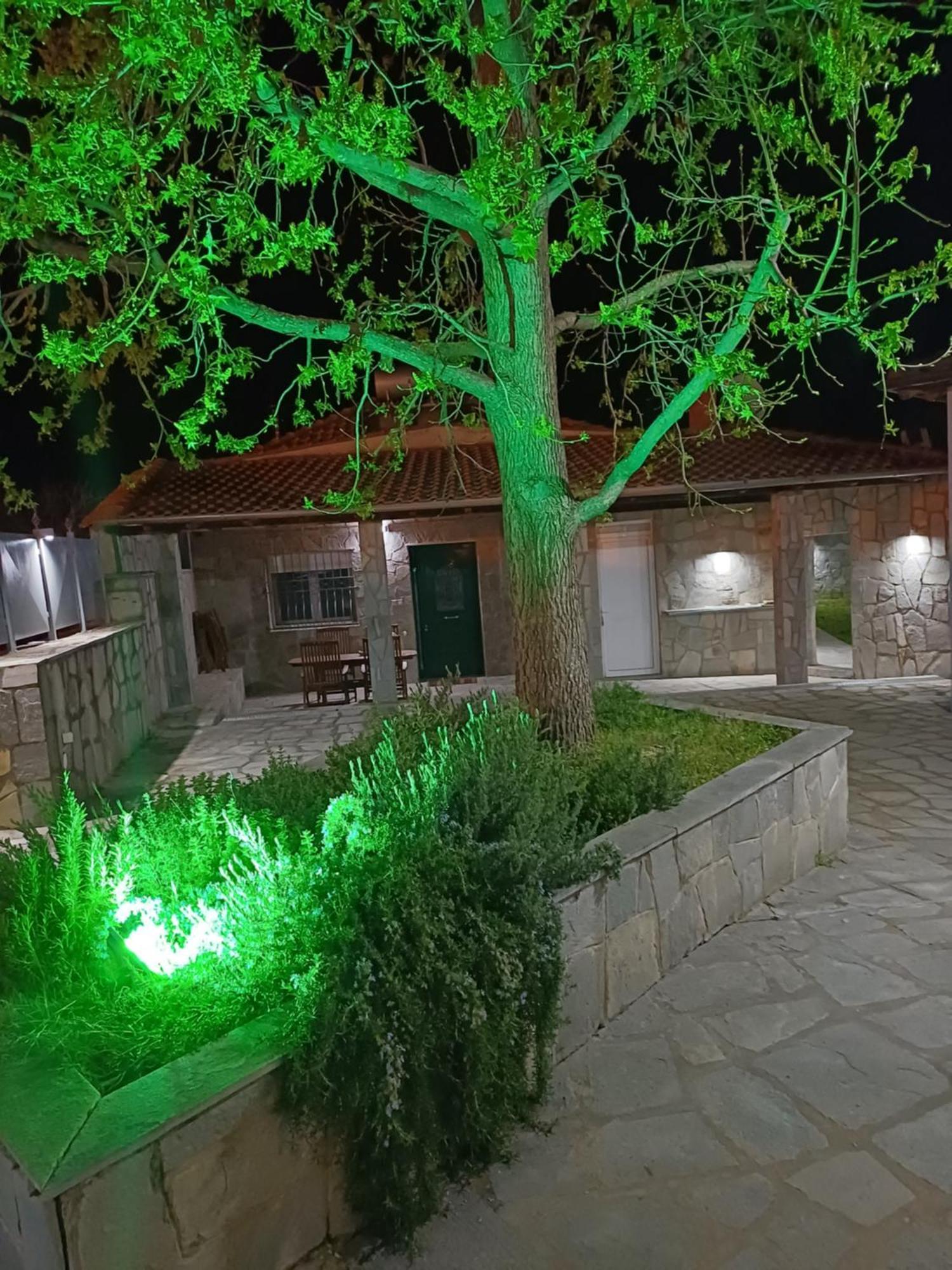 Bella Gaia